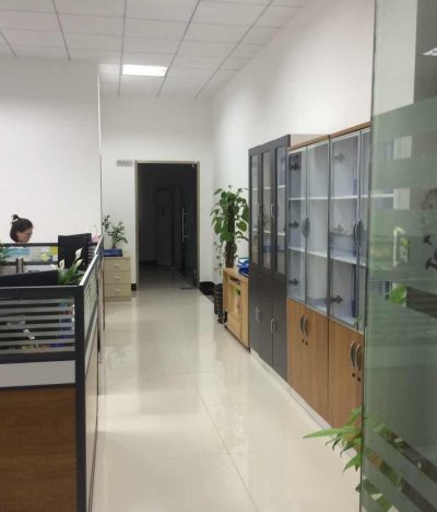 Good news: SYNERGY? A wholly foreign-owned company was officially established